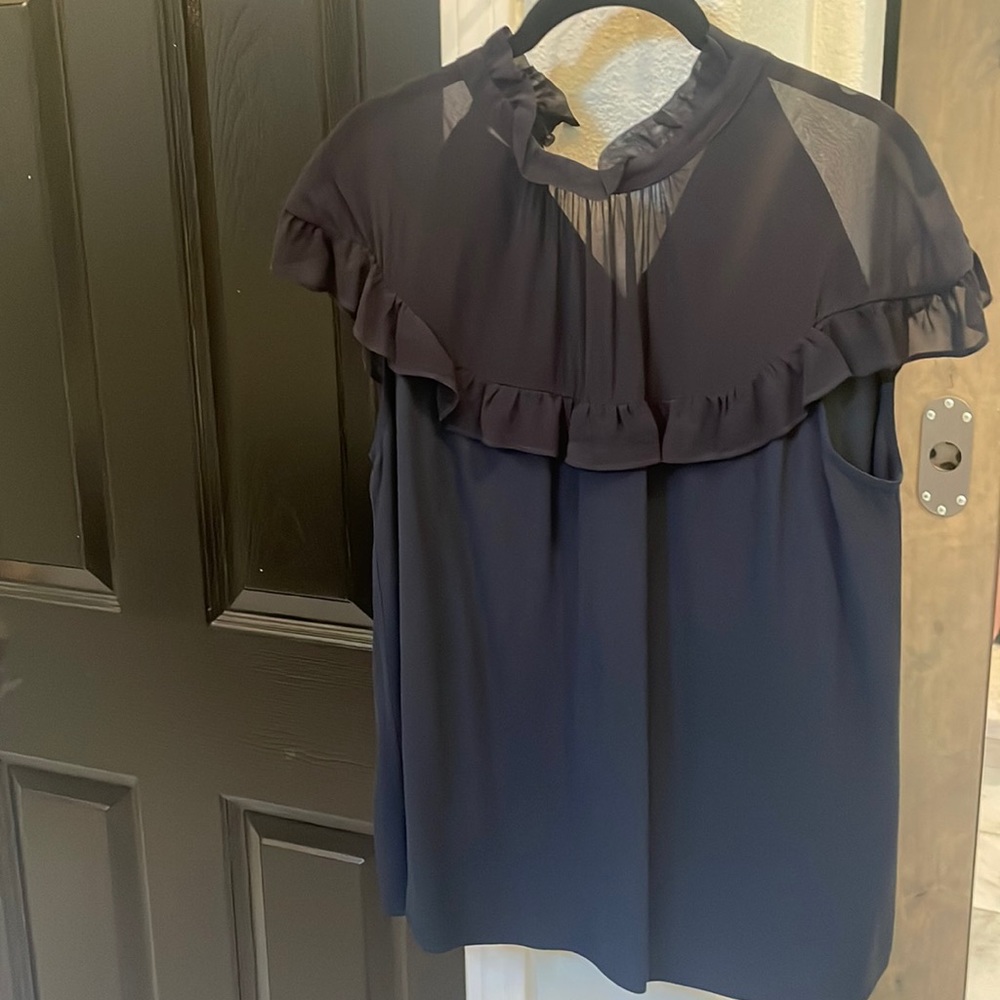 Designer Pinko blouse.